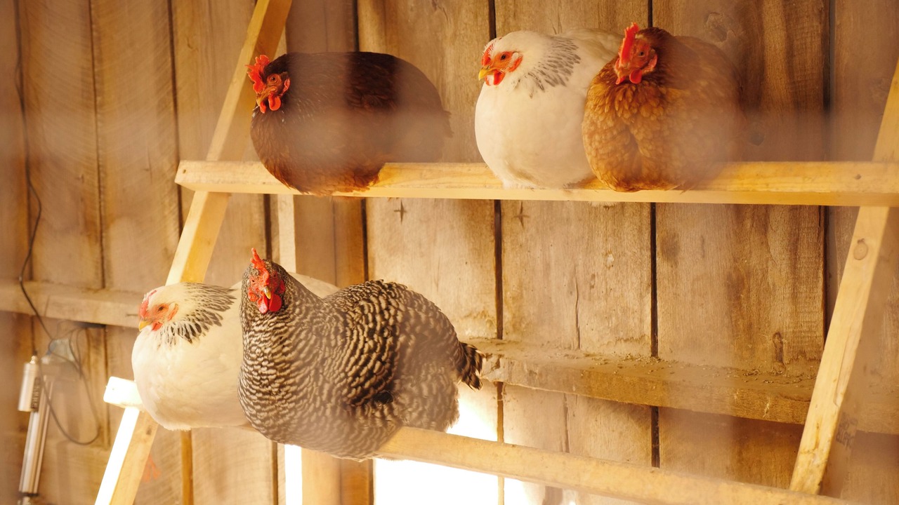 Photo of Others in Lawrence County