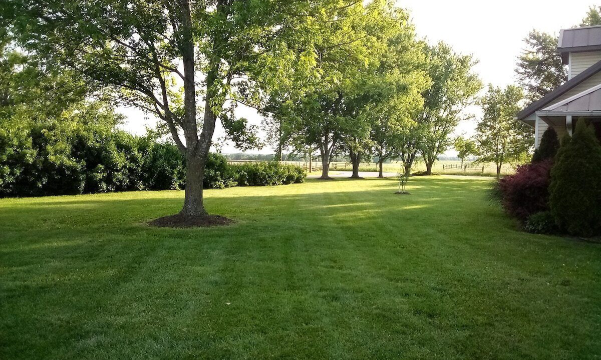 Photo of Outdoor in Lawrence County