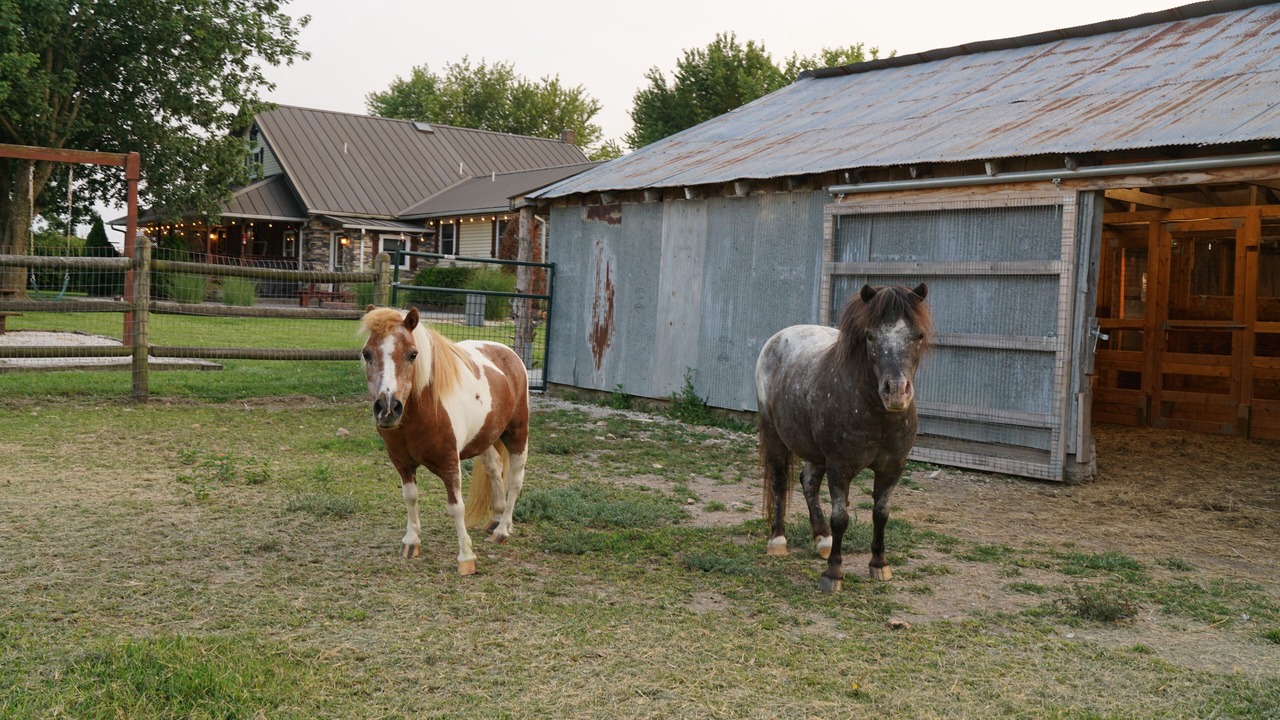 Photo of Others in Lawrence County