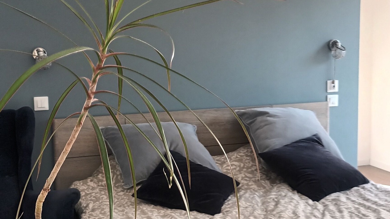 Photo of Bedroom in Tarnos