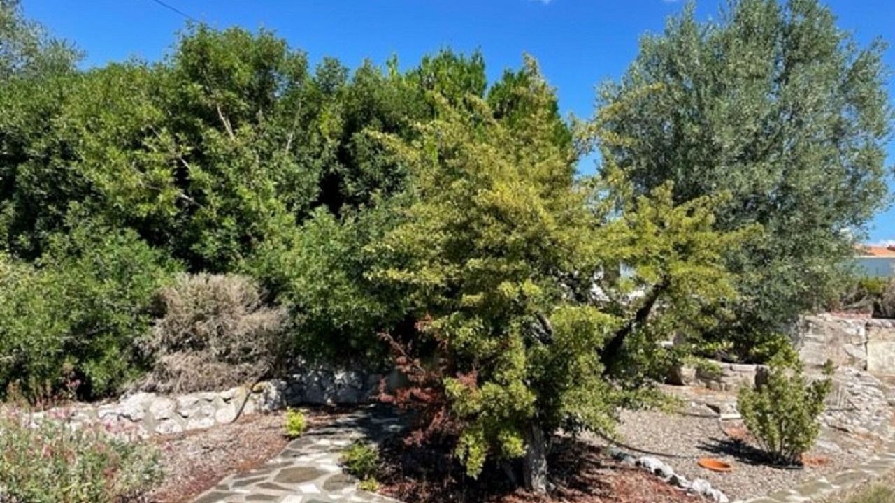 Photo of Outdoor in Pouzols-Minervois