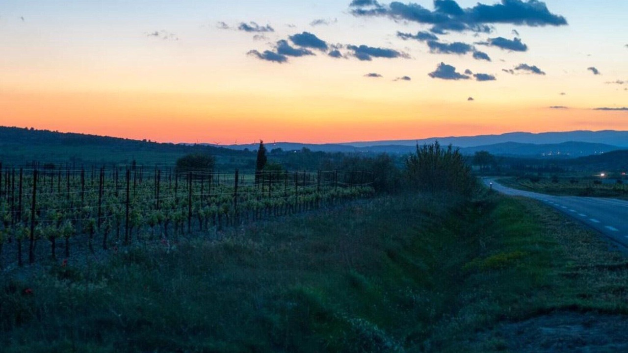 Photo of Others in Pouzols-Minervois