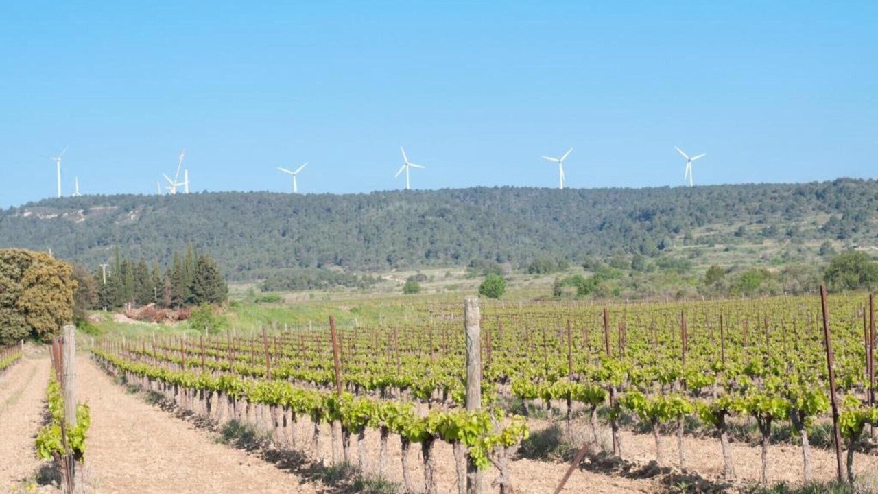 Photo of Others in Pouzols-Minervois