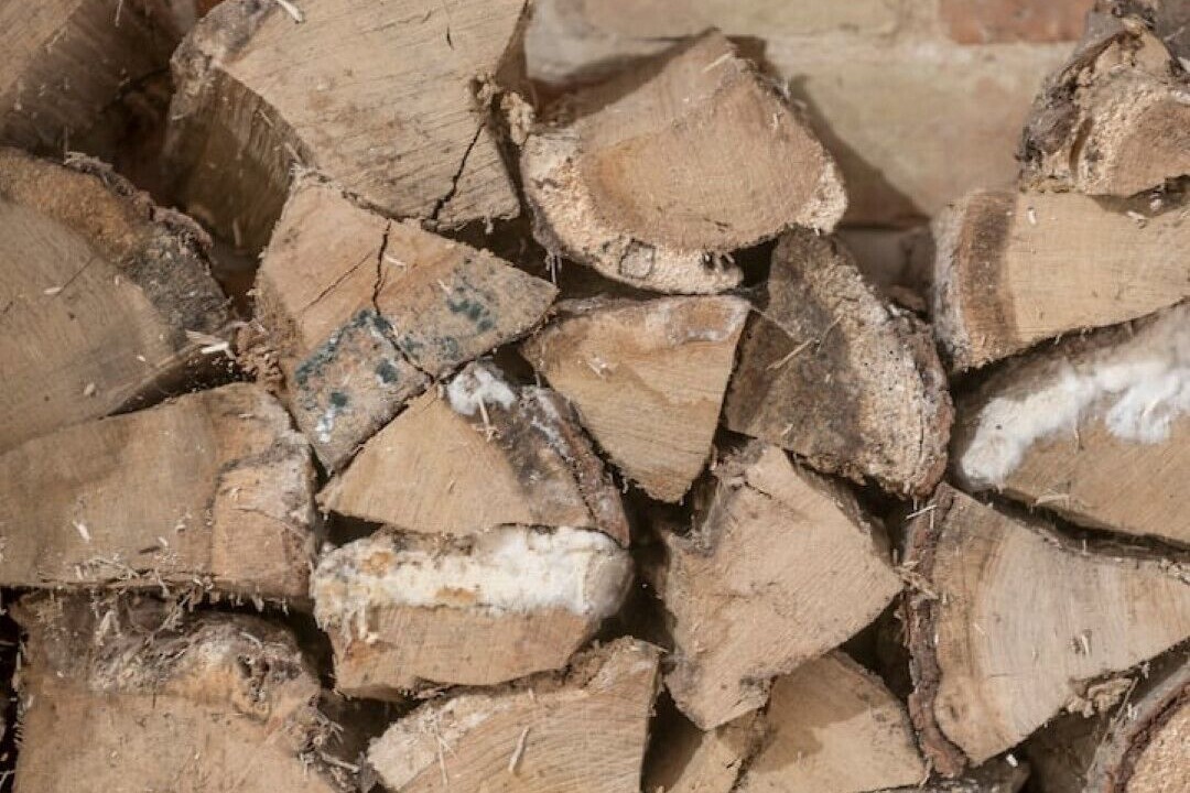 Photo of Others in Bury St Edmunds