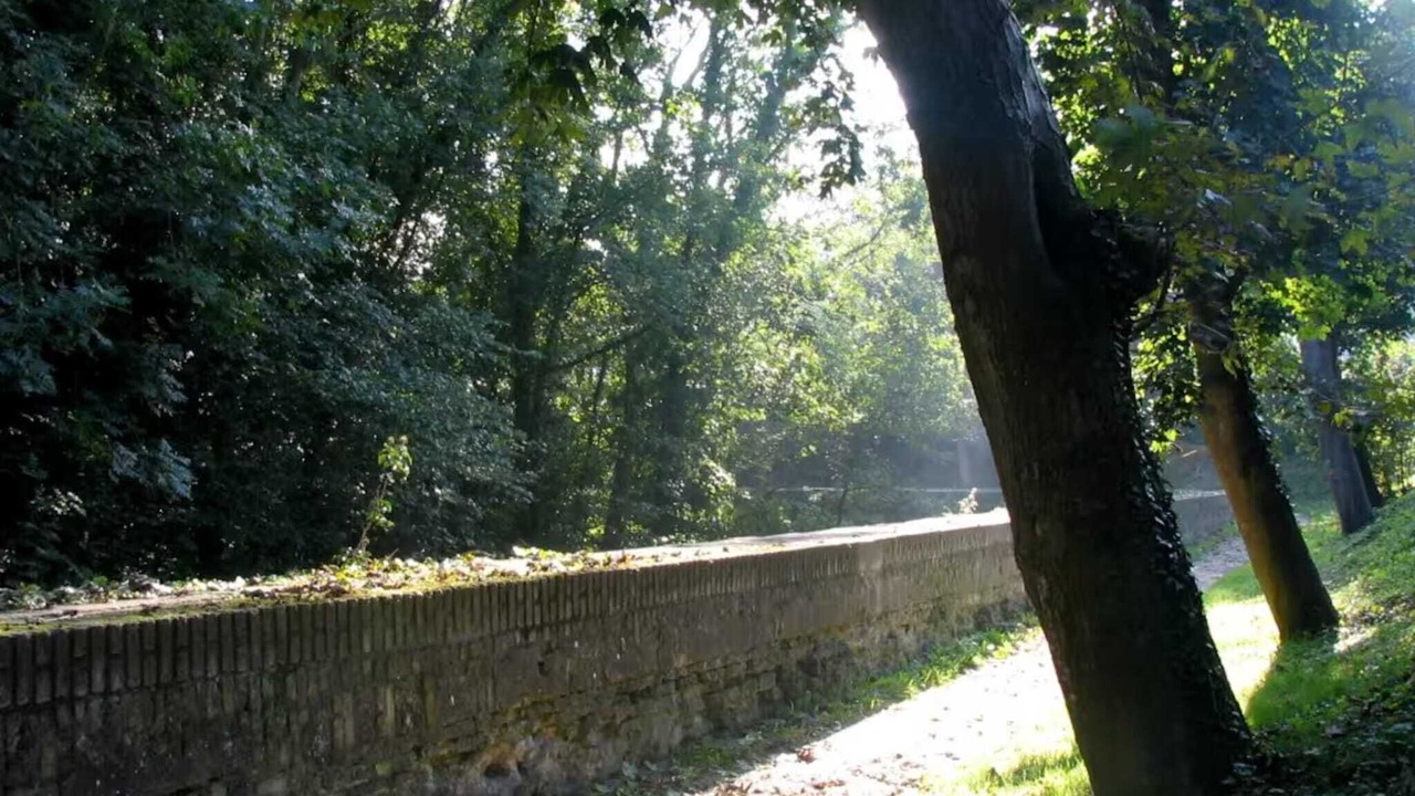 Photo of Outdoor in Bergues