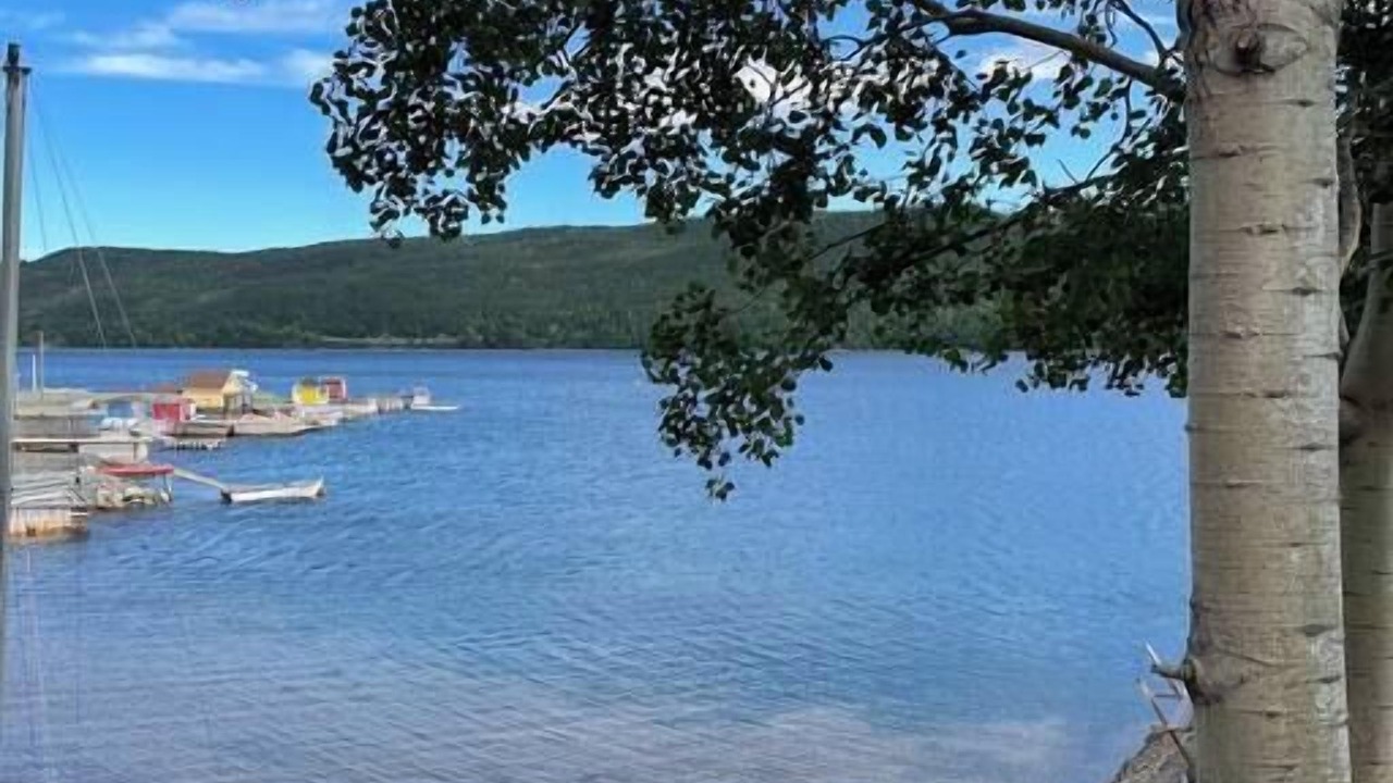 Photo of Others in King's Point