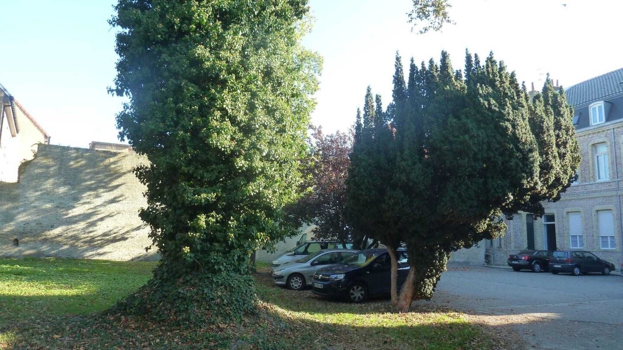 Photo of Outdoor in Bergues