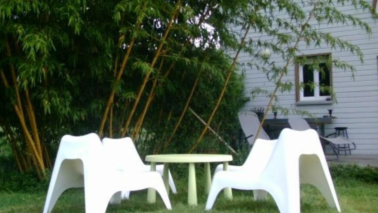 Photo of Outdoor in Chateau-la-Valliere