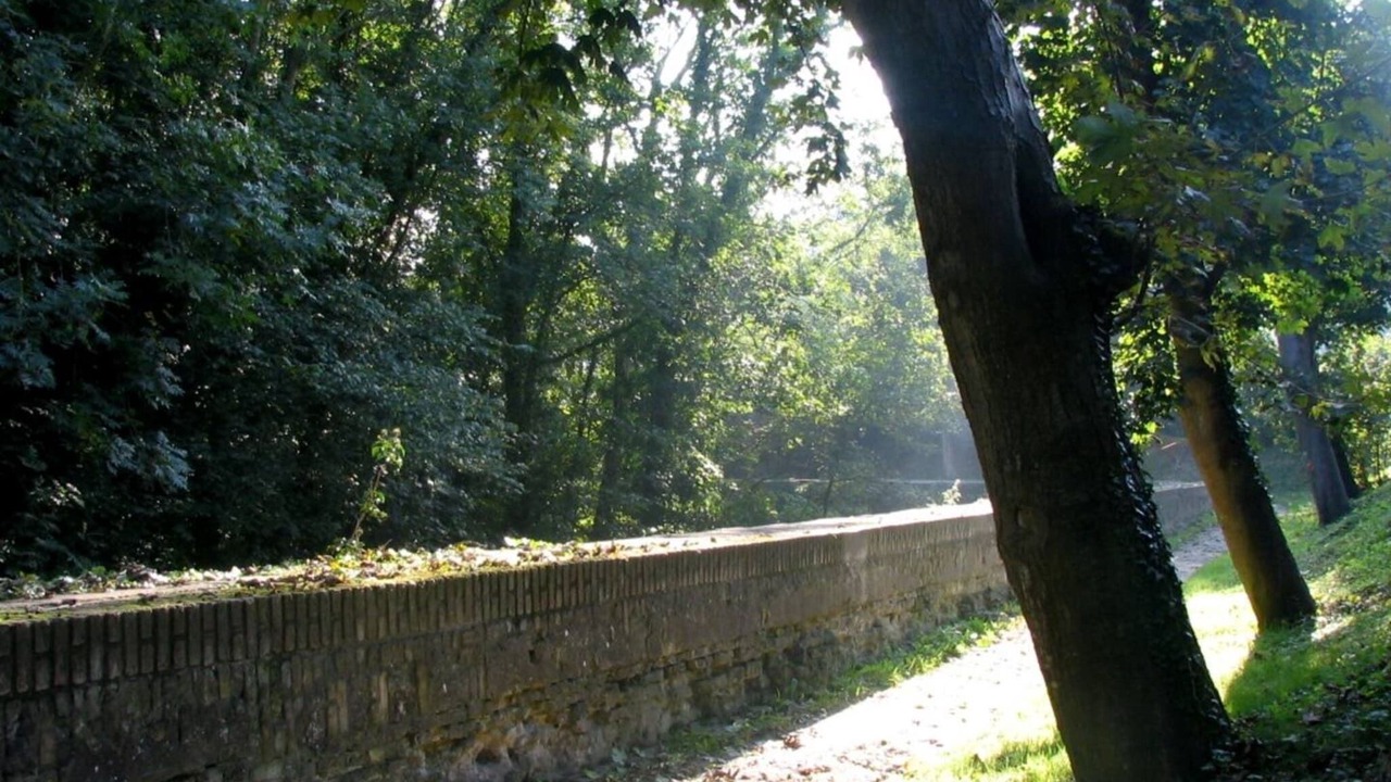 Photo of Others in Bergues