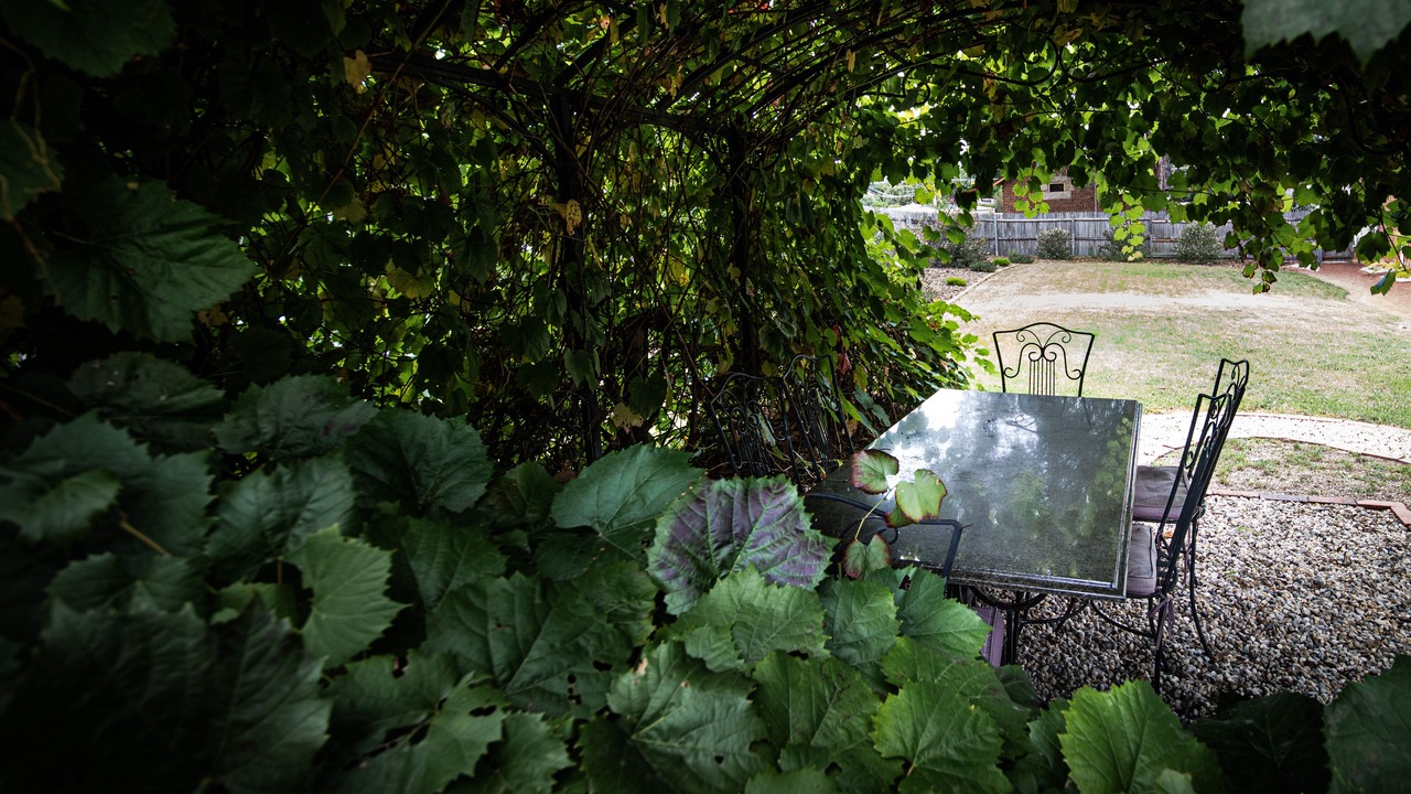 Photo of Outdoor in Chiltern