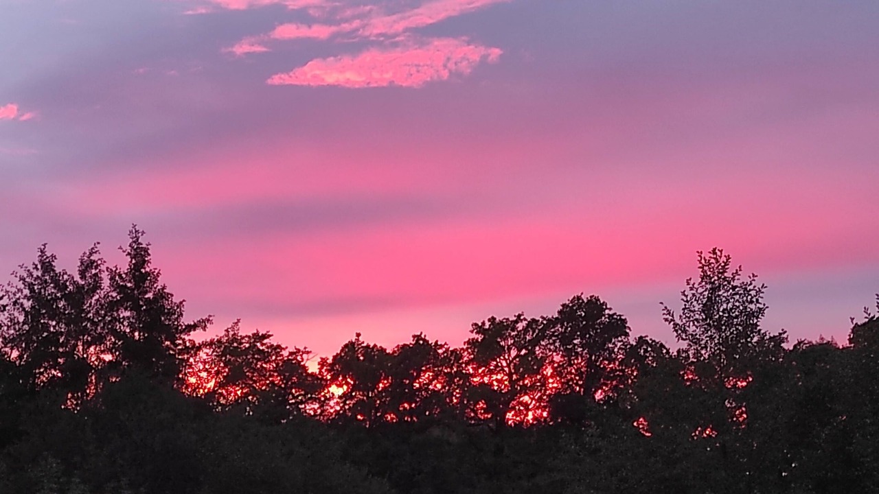 Photo of Others in Bussiere-Poitevine