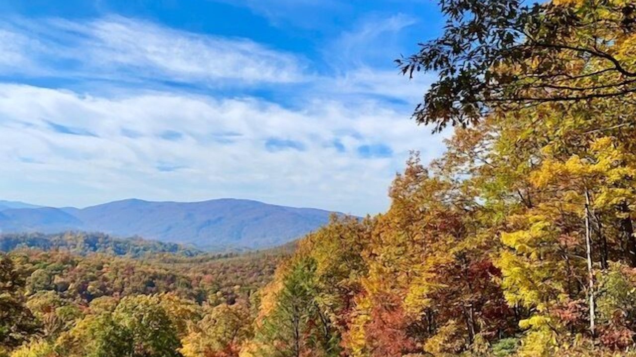 Photo of Others in Gatlinburg
