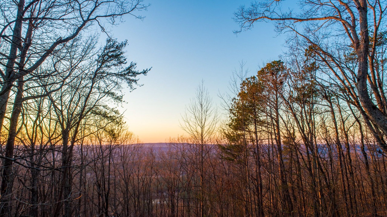 Photo of Others in Mentone