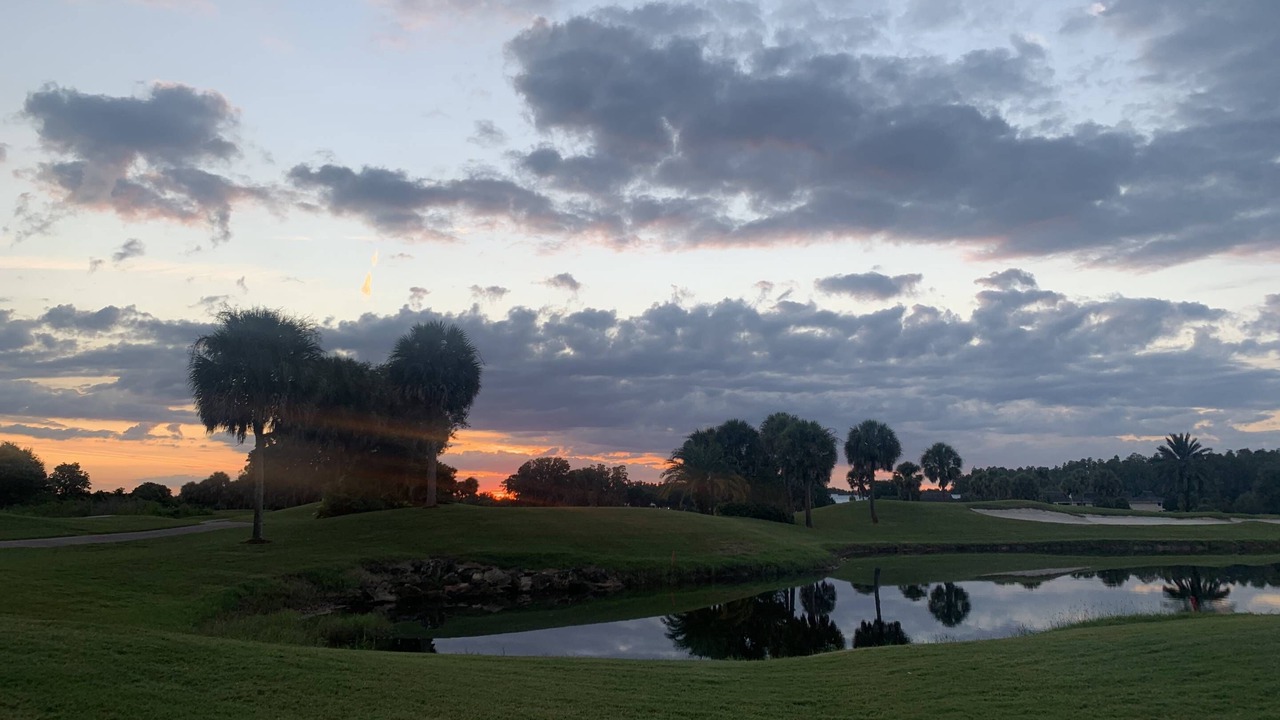 Photo of Others in Wesley Chapel