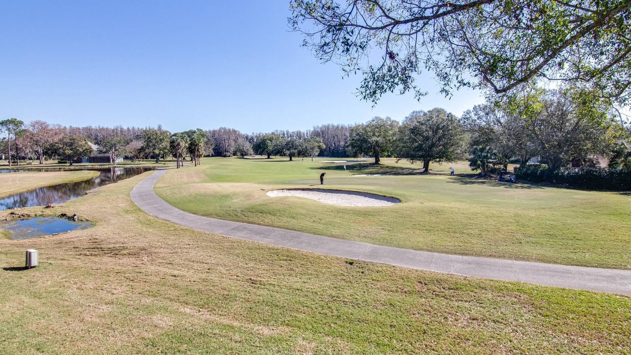 Photo of Others in Wesley Chapel