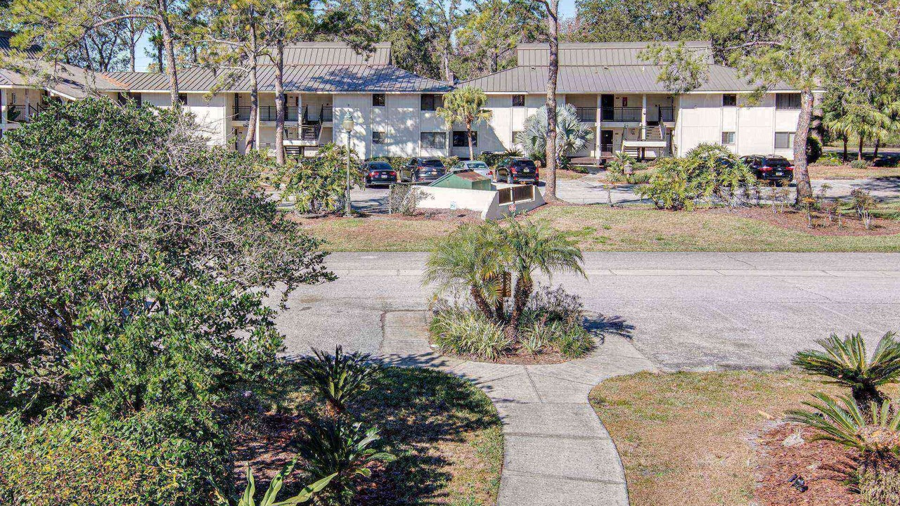 Photo of Others in Wesley Chapel