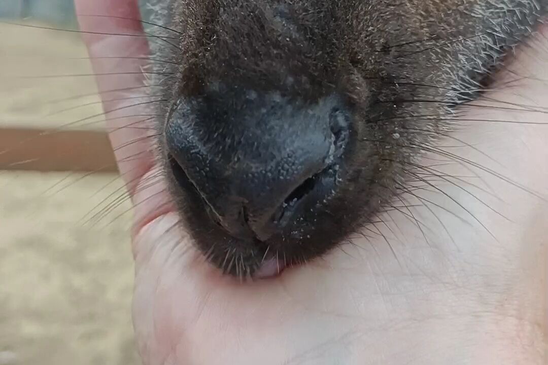 Photo of Others in Sigean