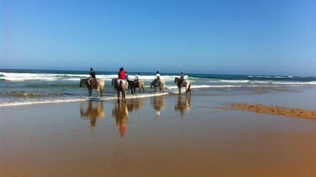 Photo of Others in Messanges