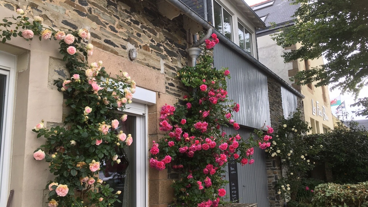 Photo of Outdoor in Coat Tredrez