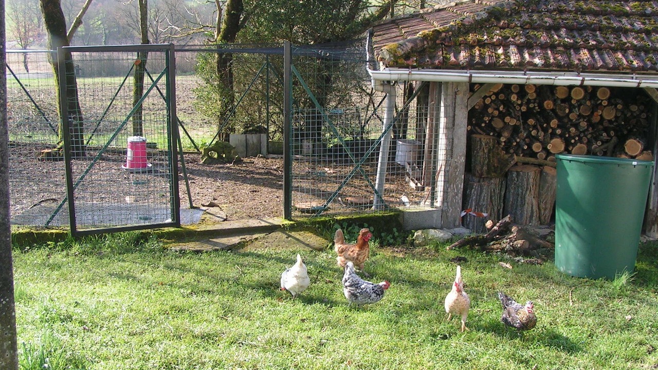 Photo of Outdoor in Lectoure