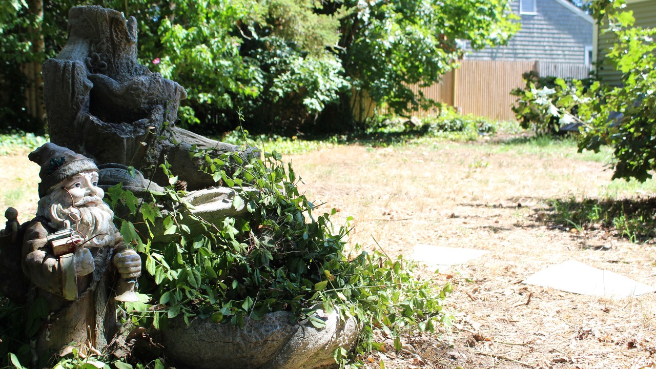 Photo of Outdoor in South Dennis