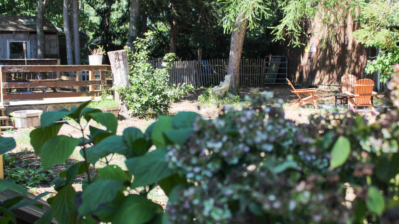 Photo of Outdoor in South Dennis