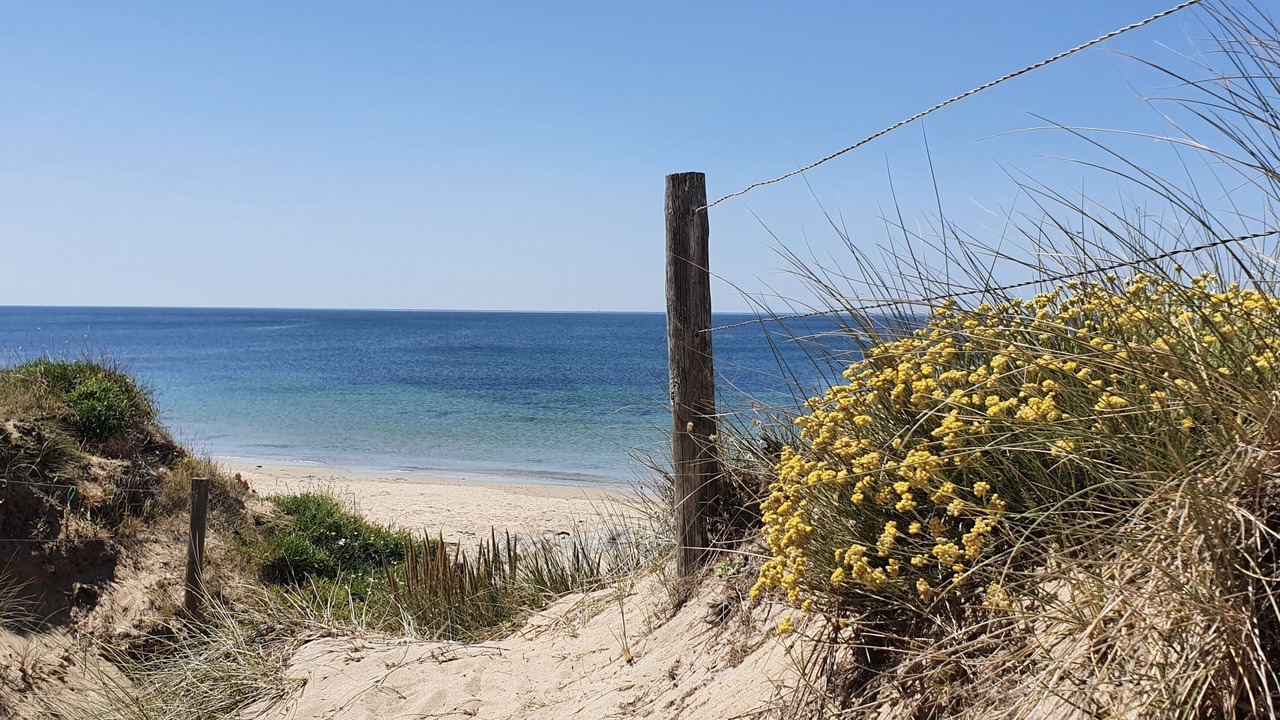 Photo of Others in Noirmoutier-en-l'Ile