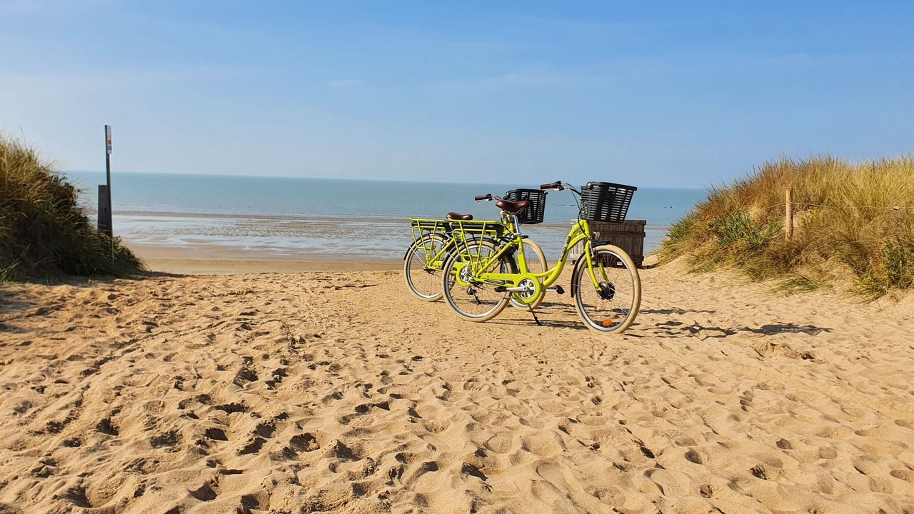 Photo of Others in Noirmoutier-en-l'Ile
