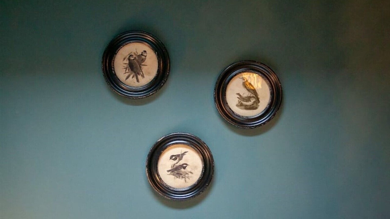 Photo of Others in Bath City Centre