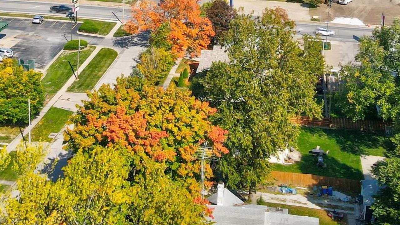 Photo of Outdoor in Washington