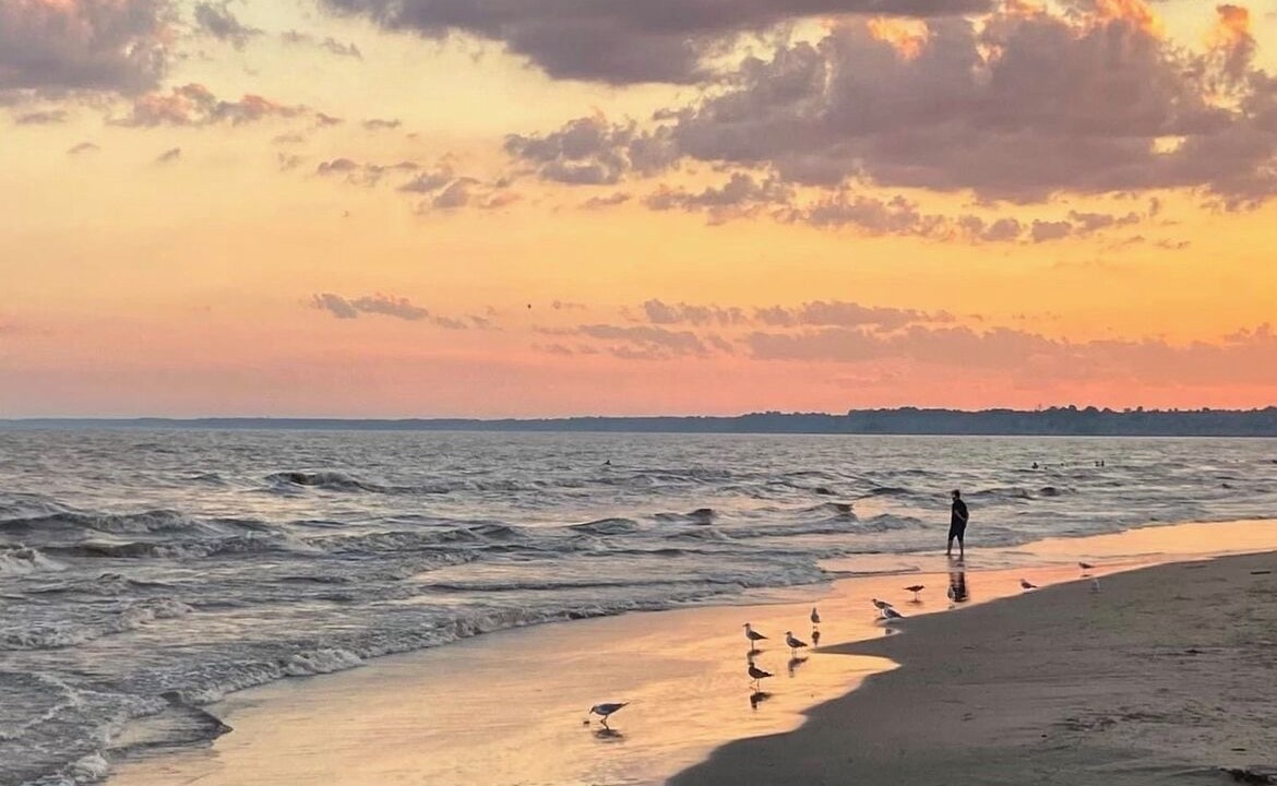 Photo of Others in Port Stanley