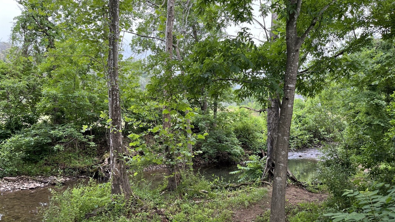 Photo of Outdoor in Dyke