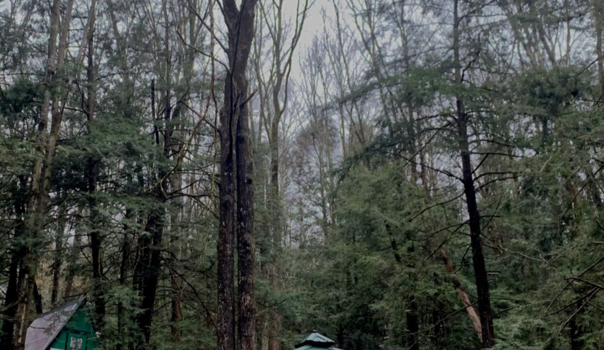 Photo of Outdoor in Fishs Eddy