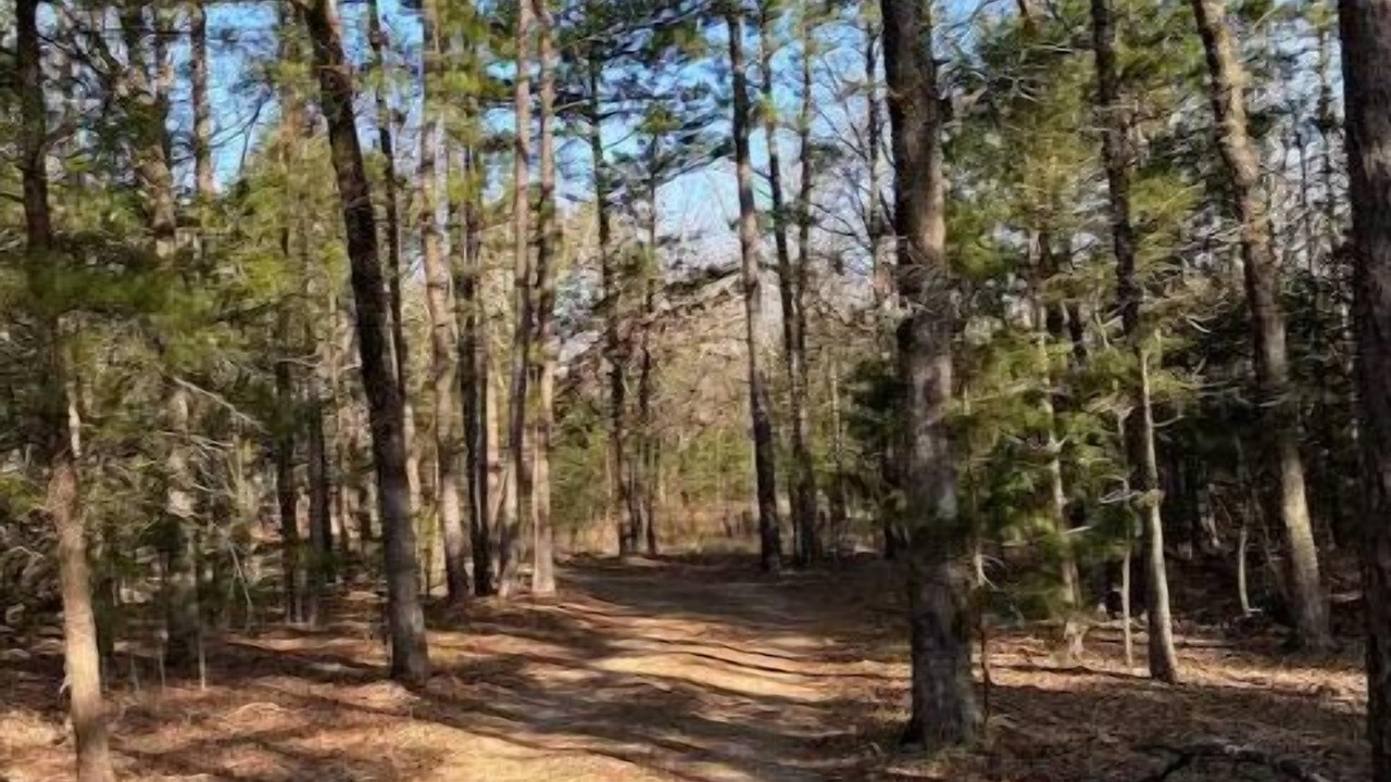 Photo of Outdoor in Clayton