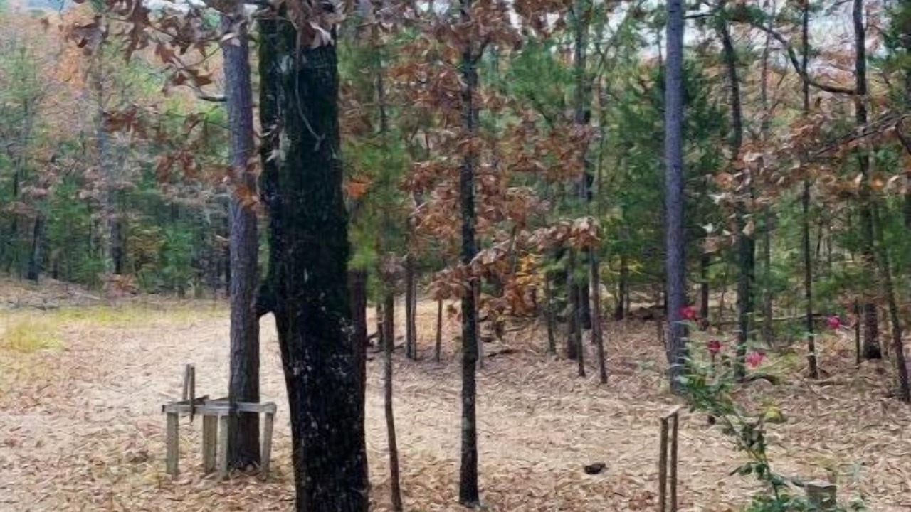 Photo of Outdoor in Clayton