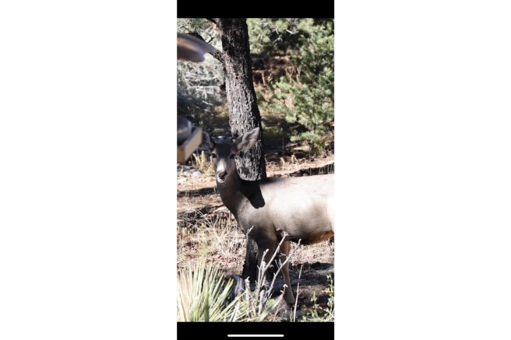 Photo of Others in Santa Fe