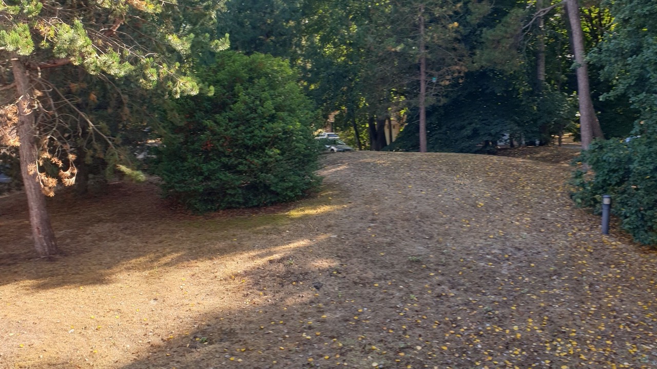 Photo of Outdoor in Saint-Pair-sur-Mer