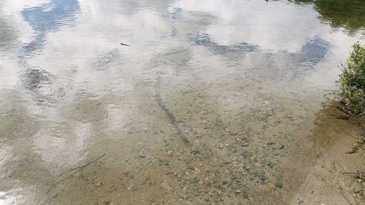 Photo of Others in Coleman