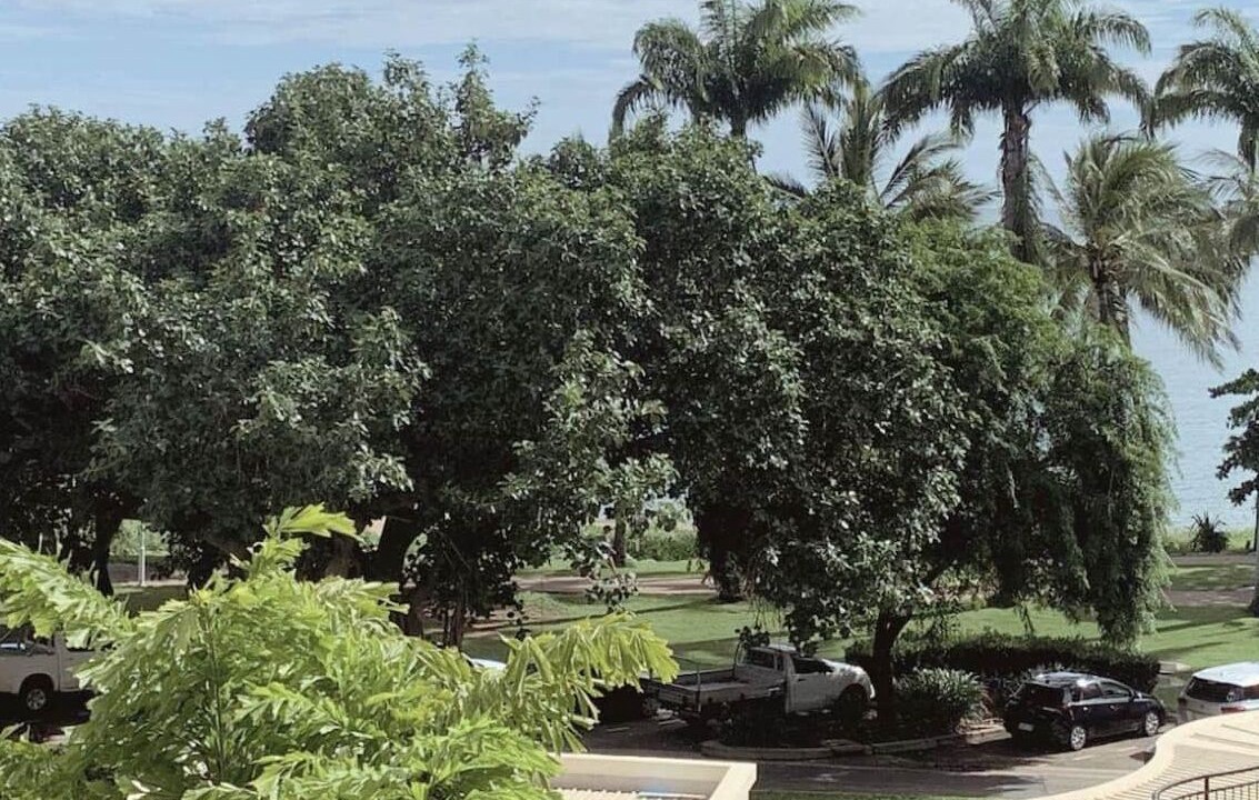 Photo of Outdoor in North Ward