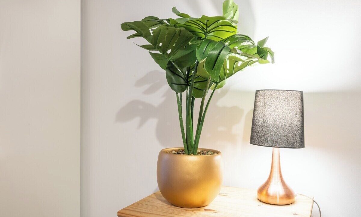 Photo of Others in Riverside