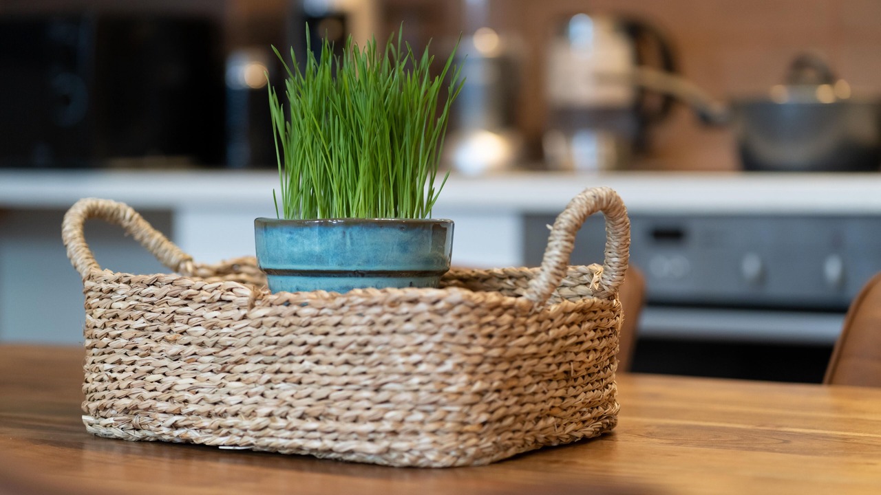 Photo of Others in Market Street