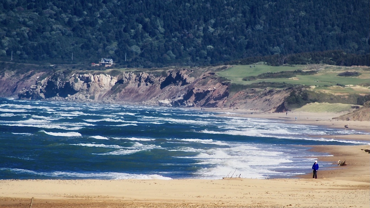 Photo of Others in Mabou
