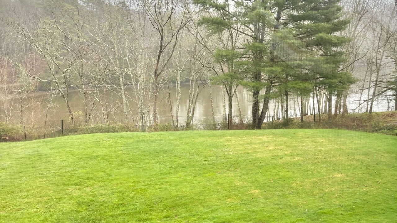 Photo of Others in Dresden