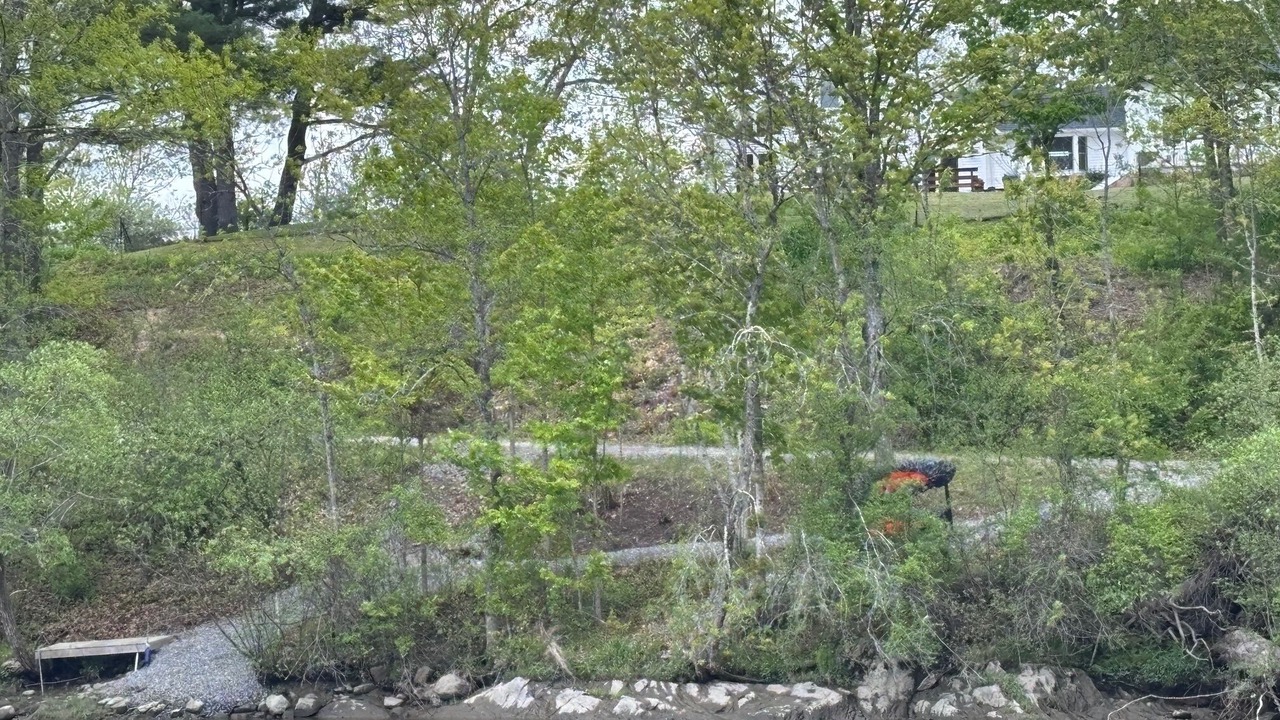 Photo of Others in Dresden