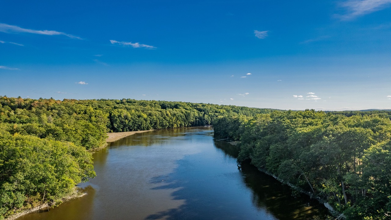 Photo of Others in Dresden