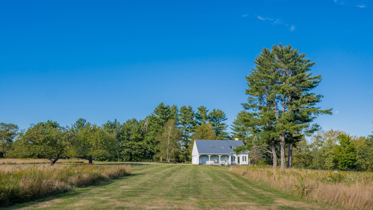 Photo of Outdoor in Dresden