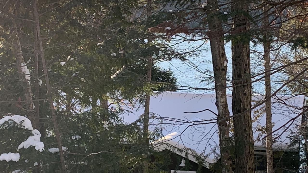 Photo of Outdoor in Novar