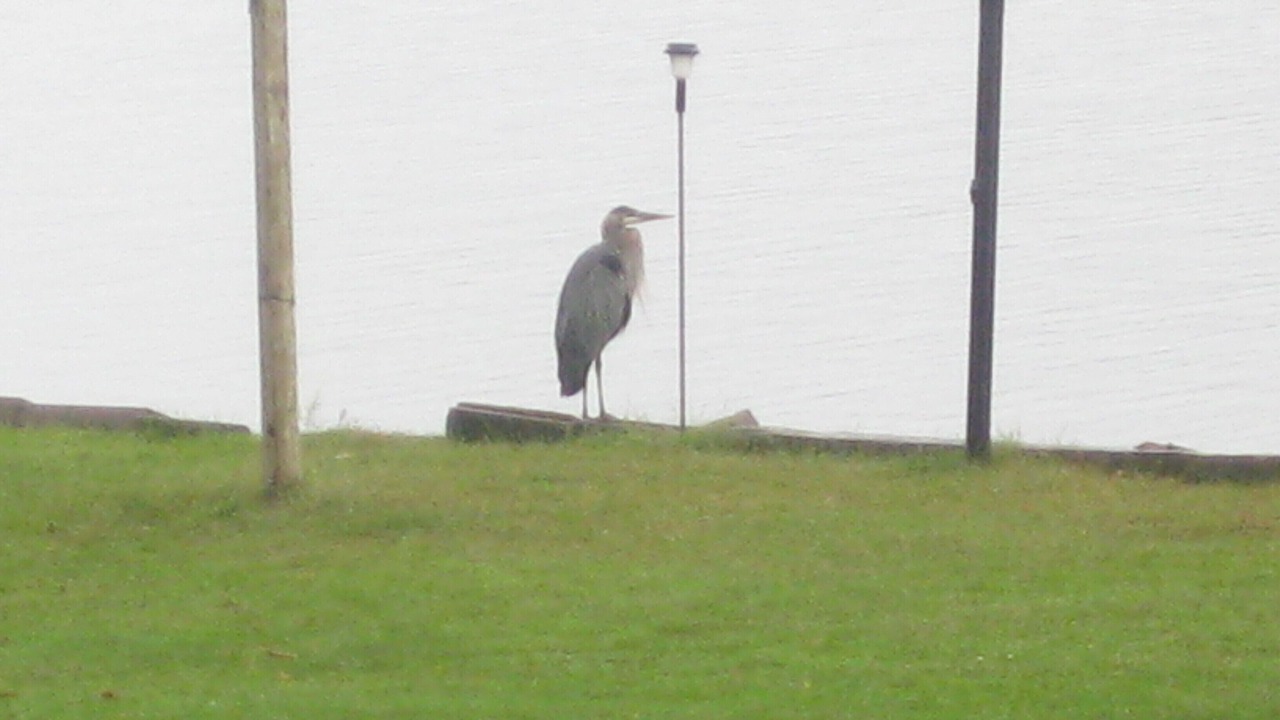 Photo of Others in Minden Hills