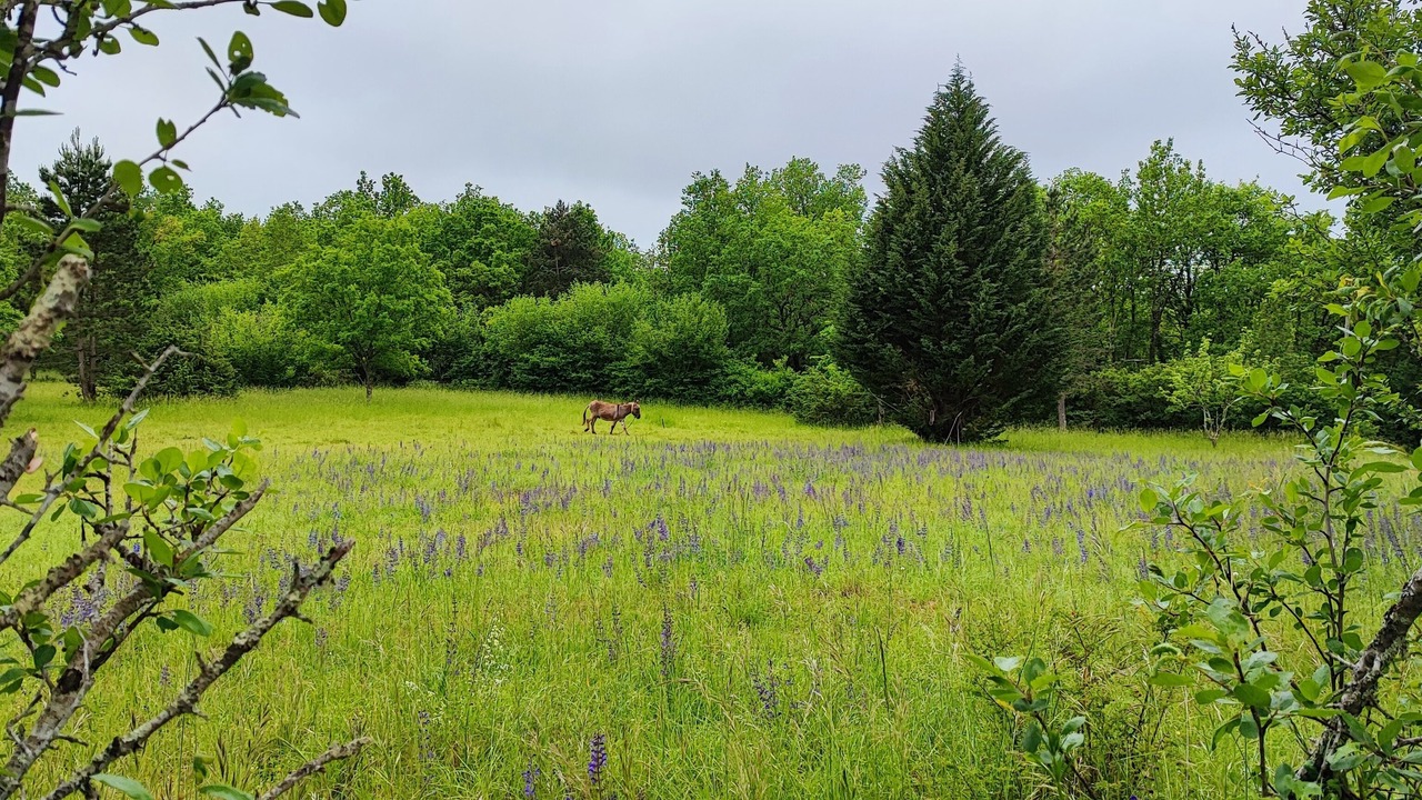Photo of Outdoor in La Cassagne