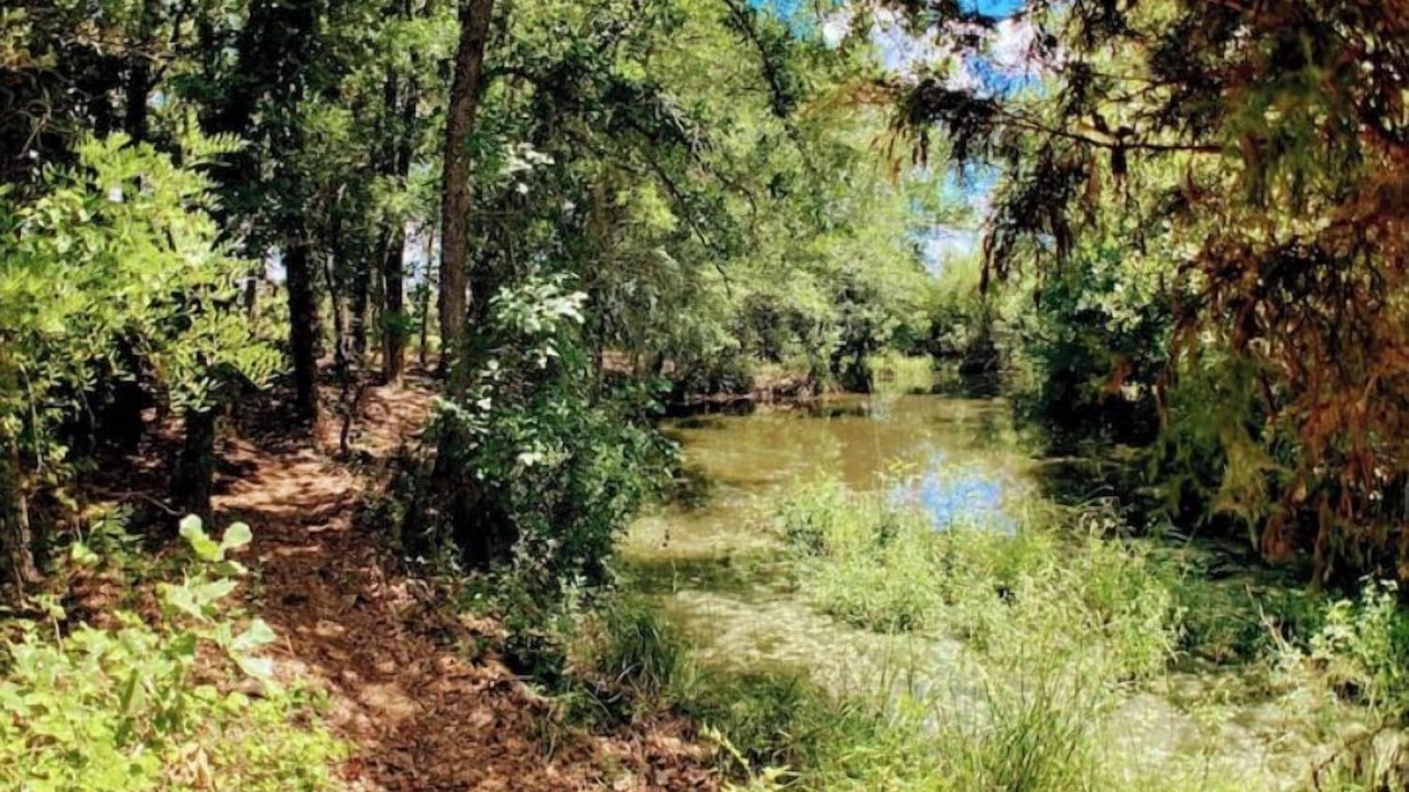Photo of Outdoor in Lockhart